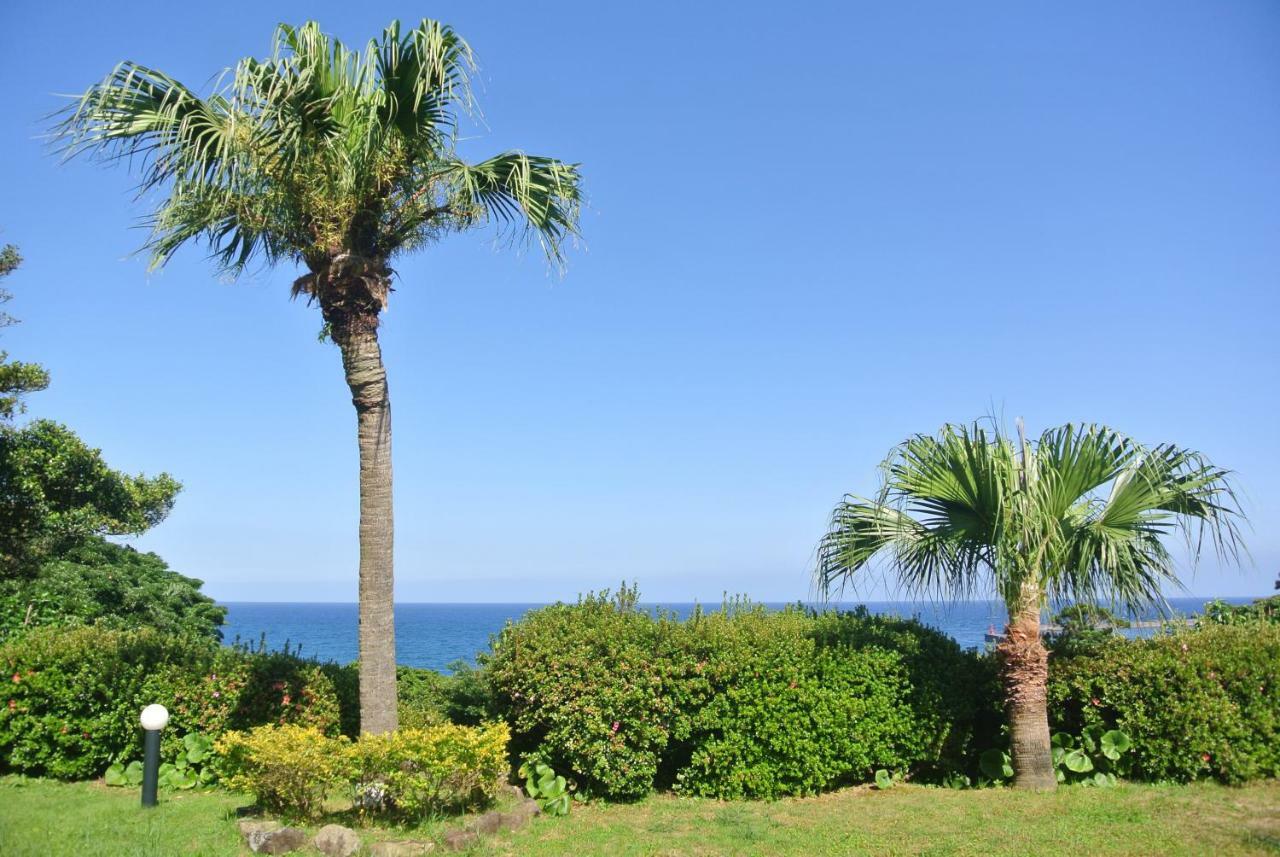 Yakushima Green Hotel Екстер'єр фото